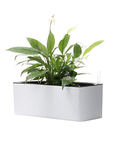 Elongated Self Watering Planter Pots Window Box 5.5 x 16 inch w/ Coconut Coir Soil