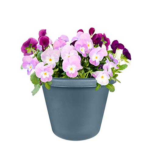 8" Round Classic Planter - Tw/ Rolled Rim & 10 Drain Holes