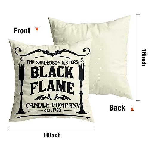 Halloween Decorations Pillow Covers  Hocus Pocus Farmhouse Saying White Black Outdoor/Indoor Fall Pillow Cover