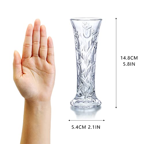 Glass Flower Vase, Small Clear Vase for Flowers, Clear Crystal Vases for Centerpieces, Bud Vases
