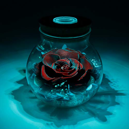 Preserved Real Roses w/  Colorful Mood Light Wishing Bottle