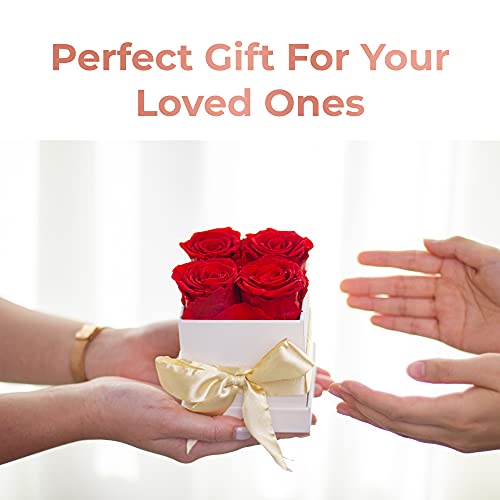 4 Blush Preserved Fresh Flowers Gift for Women