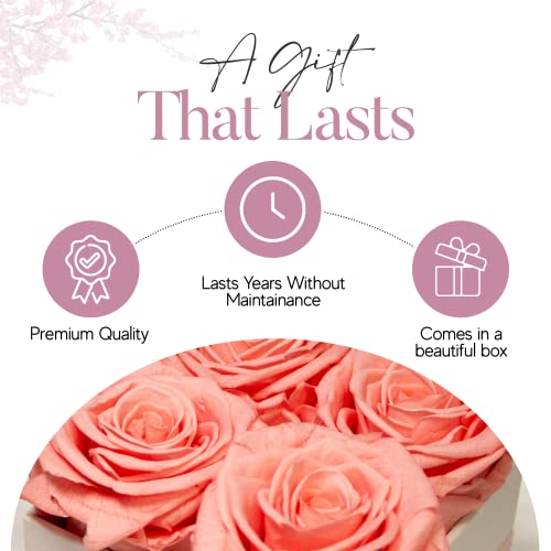 4 Blush Preserved Fresh Flowers Gift for Women