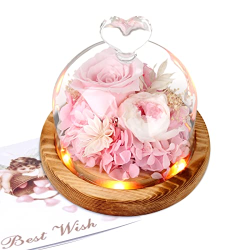 Preserved Light Up Flower Rose Gift for Women