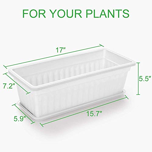 15 Inches Flower Window Box Plastic w/ 15 Pcs Plant Labels