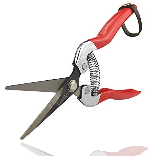 Small Garden Hand Pruner & Shears