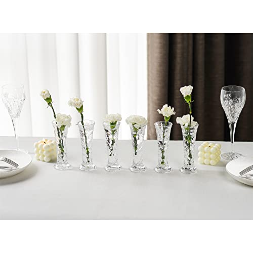 Glass Flower Vase, Small Clear Vase for Flowers, Clear Crystal Vases for Centerpieces, Bud Vases