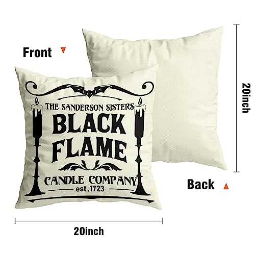 Halloween Decorations Pillow Covers  Hocus Pocus Farmhouse Saying White Black Outdoor/Indoor Fall Pillow Cover