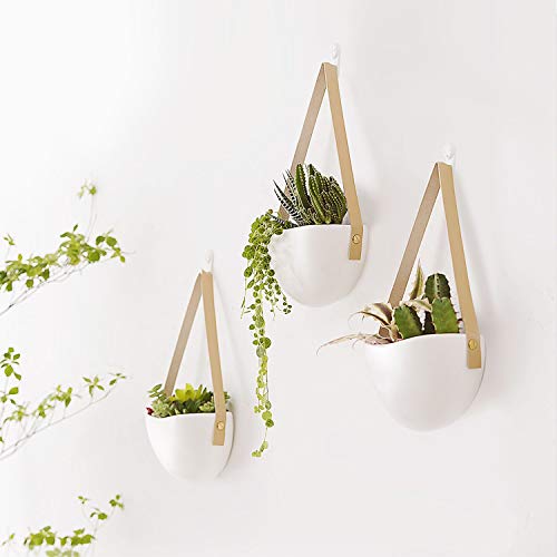 set of 3 hanging plants Set of 3 Modern Hanging Flower Plant Pots