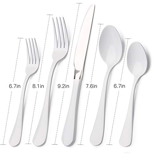 20-Piece Stainless Steel Flatware Set  Service for 4, Mirror Polished, Dishwasher Safe