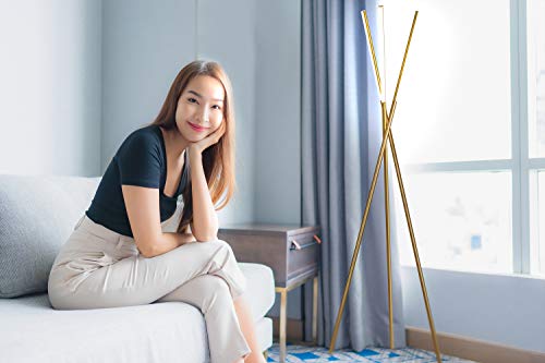 LED Tripod Standing Lamp w/ 3 Lights