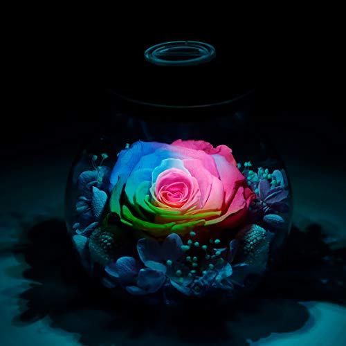 Preserved Real Roses w/  Colorful Mood Light Wishing Bottle