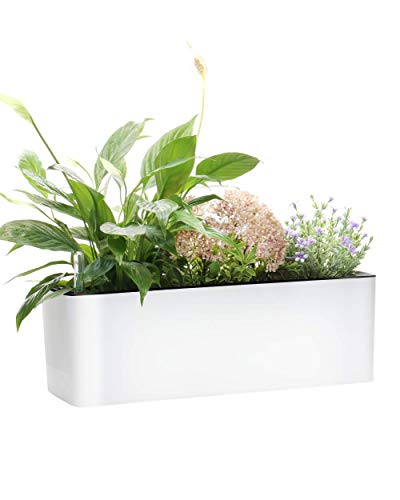 Elongated Self Watering Planter Pots Window Box 5.5 x 16 inch w/ Coconut Coir Soil