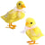 Easter Sisal Chick Baby Duck Figurine Set of 2 for Home Decoration