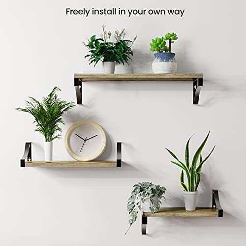 Floating Shelves Wall Mounted Set of 3