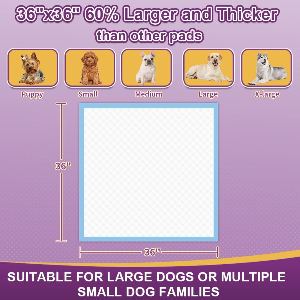 30 Count Extra Large Dog Pee Pads 36"x36"