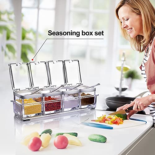 Set of 4 Acrylic Clear Box for Seasoning w/ Cover & Spoon