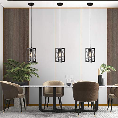 Plug in Pendant Hanging Light Industrial Fixtures