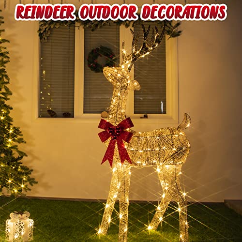 Christmas Lighted Reindeer w/ 70 Warm White Lights