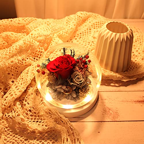 Light Up Fresh Preserved Flower Rose Gift