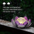 Lotus Solar Light  Garden Decor ,Waterproof LED Crackle Globe Glass Flower Light