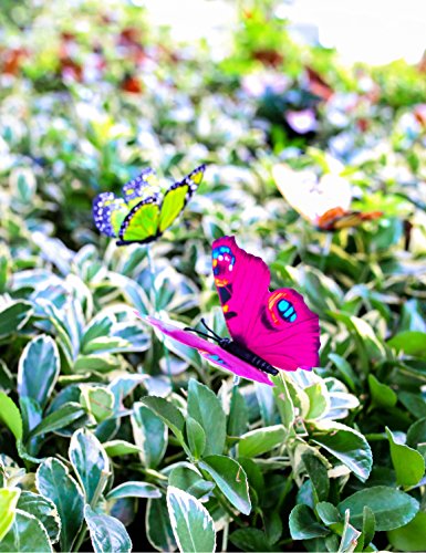 Butterfly Stakes, 50pcs 11.5inch for Garden Decoration