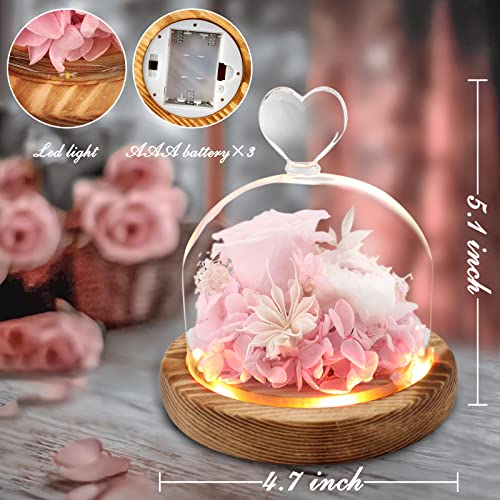 Light Up Fresh Flowers Preserved Flower Rose Gift