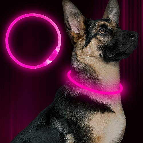 Led Dog Collar USB Rechargeable Flash Dog Necklace Light, Pet Safety Collar