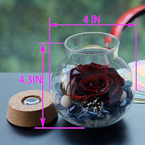 Preserved Real Roses w/  Colorful Mood Light Wishing Bottle