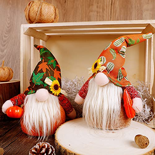 Handmade Plush Lighted Christmas Gnome Decoration