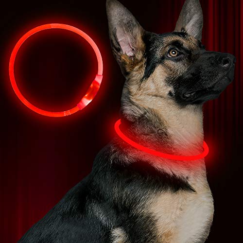 Led Dog Collar USB Rechargeable Flash Dog Necklace Light, Pet Safety Collar