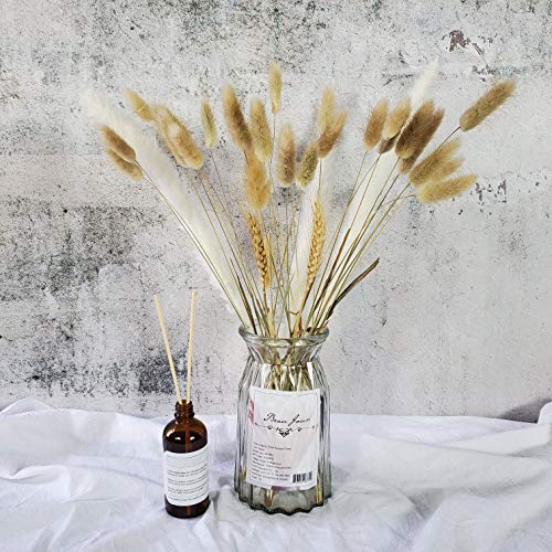 100 Pcs, Dried Bunny Tails Pampas for Flower Arrangements Home Decoration