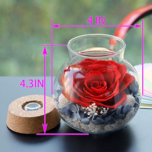 Preserved Real Roses w/  Colorful Mood Light Wishing Bottle