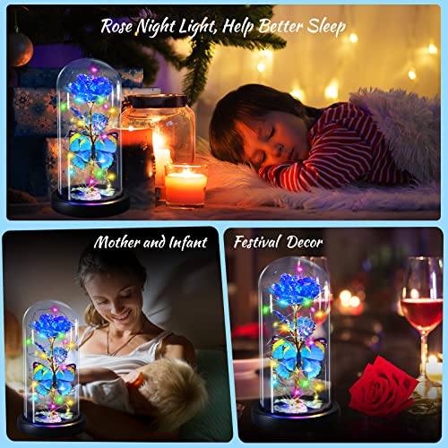 Enchanted Galaxy Light Up Butterfly Rose  Gifts in Glass Dome