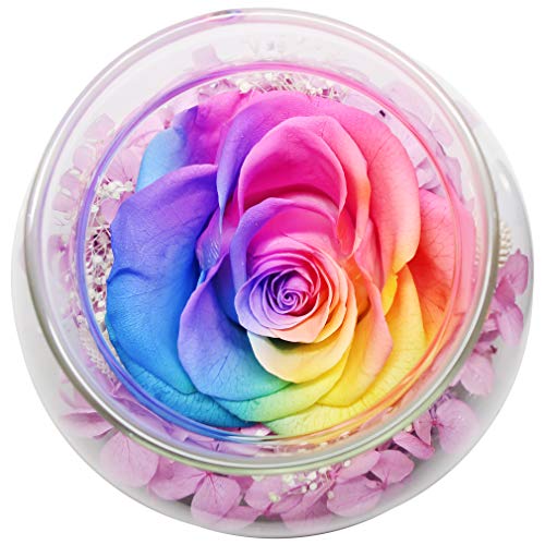 Preserved Real Roses w/  Colorful Mood Light Wishing Bottle