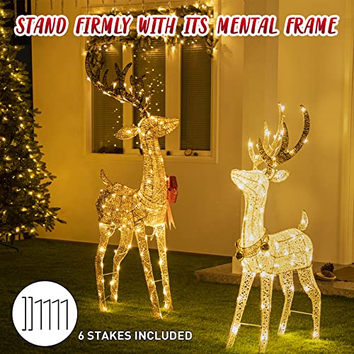 Christmas Lighted Reindeer w/ 70 Warm White Lights