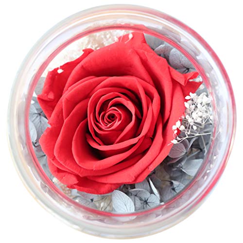 Preserved Real Roses w/  Colorful Mood Light Wishing Bottle