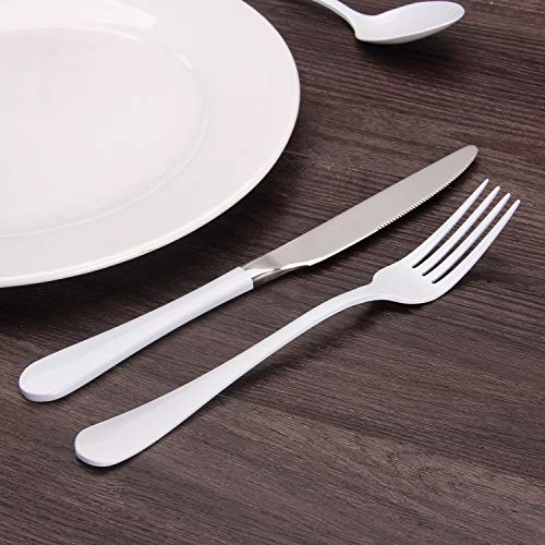 20-Piece Stainless Steel Flatware Set  Service for 4, Mirror Polished, Dishwasher Safe