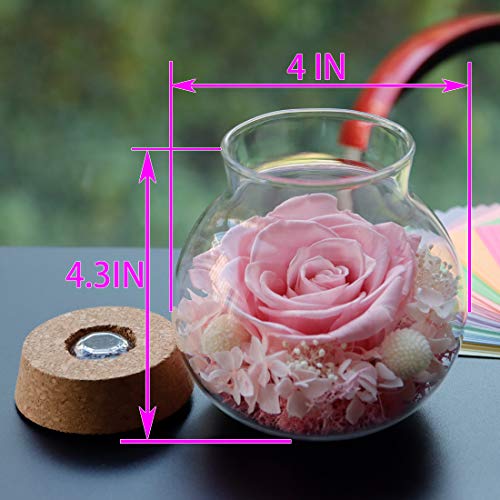 Preserved Real Roses w/  Colorful Mood Light Wishing Bottle