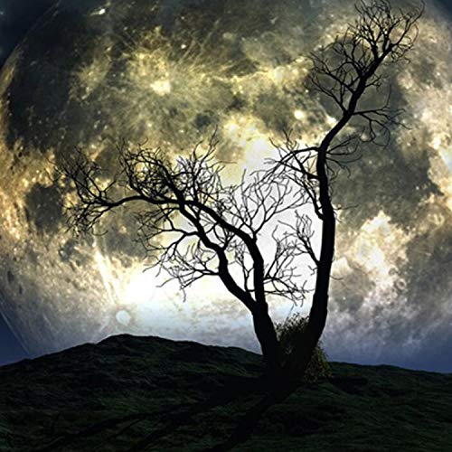 Moon Galax Tree Tapestry Starry Sky Mystic Psychedelic Art WAll Decoration