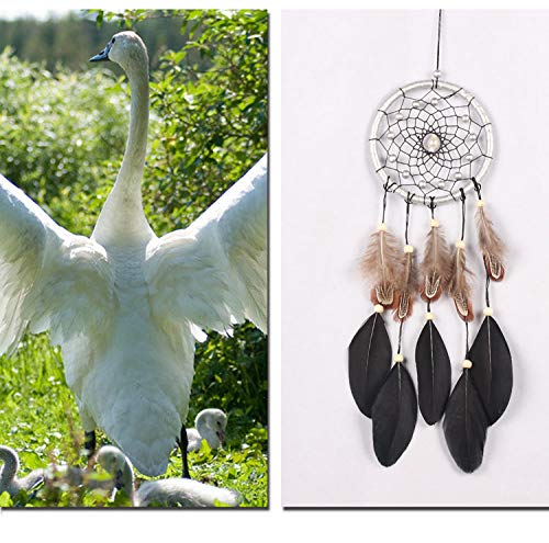 Elegant Handmade Feather Dreamcatcher