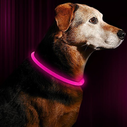 Led Dog Collar USB Rechargeable Flash Dog Necklace Light, Pet Safety Collar