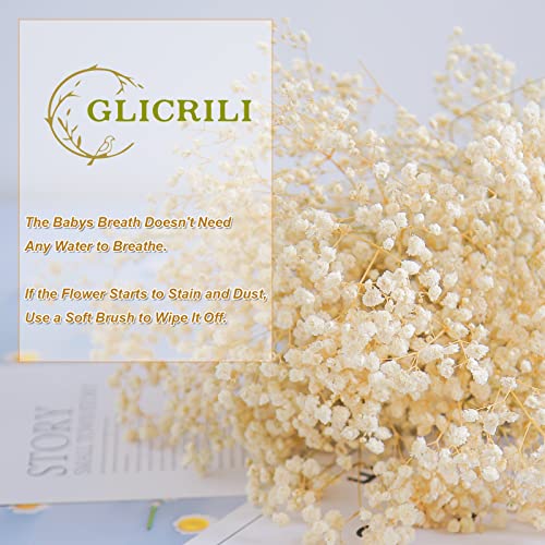 Dried-Babys-Breath-Flowers-Bouquet-17 inch