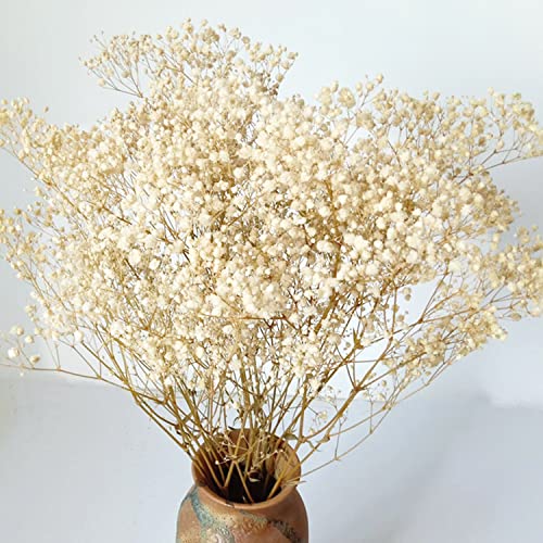 Dried-Babys-Breath-Flowers-Bouquet-17 inch