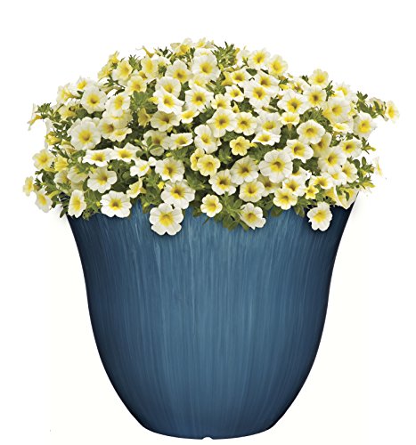 Honeysuckle Planter, Patio Pot, 15" Ocean