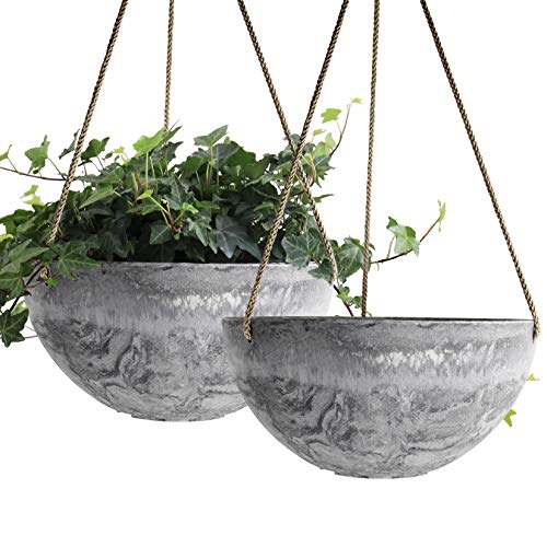 Hanging Planter Flower Plant Pots - 10 Inch-Set of 2