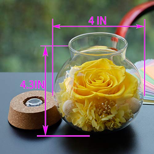 Preserved Real Roses w/  Colorful Mood Light Wishing Bottle