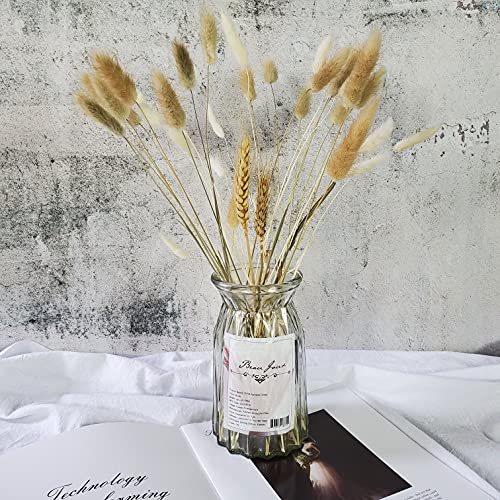 100 Pcs, Dried Bunny Tails Pampas for Flower Arrangements Home Decoration