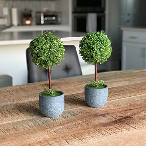 Set of 2 Artificial Boxwood Topiary Trees, Fake Plants Decor - 12 Inch