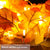 Thanksgiving Decorations Lighted Fall Garland, 8.2 Feet 20 LEDs